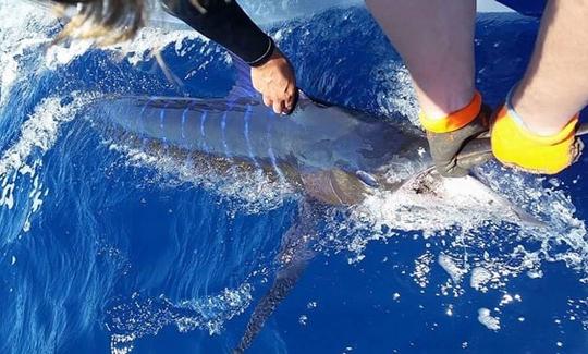 Alquiler de pesca deportiva y pesca de marlines en KwaZulu-Natal, Sudáfrica