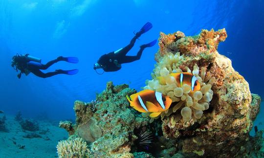 Disfruta de viajes de buceo en Zanzíbar, Tanzania