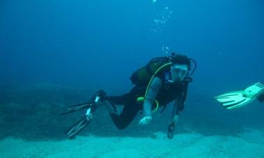 Learn to dive in Umkomaas, South Africa