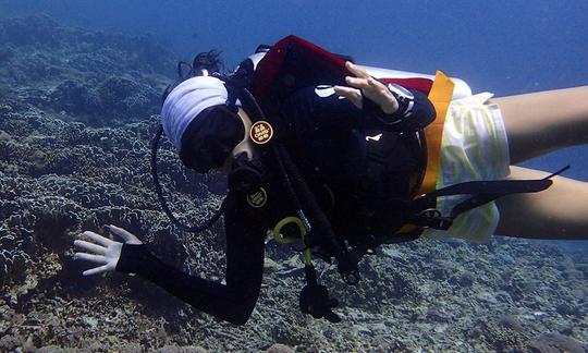 Disfruta de viajes de buceo en Pembang, Indonesia