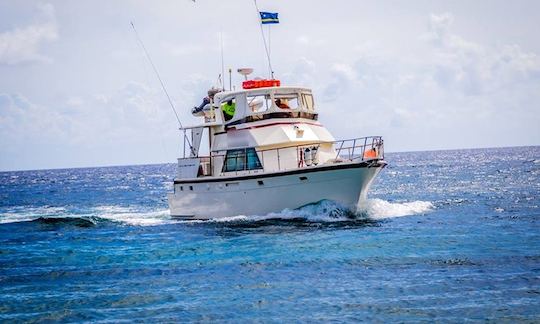 Alugue um iate a motor em Willemstad, Curaçao