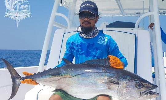 Excursión de medio día en barco de 6 horas para pescar y hacer turismo en la ciudad de Addu, Maldivas