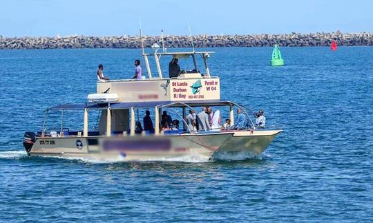 Disfrute de la observación de delfines en Richards Bay, Sudáfrica