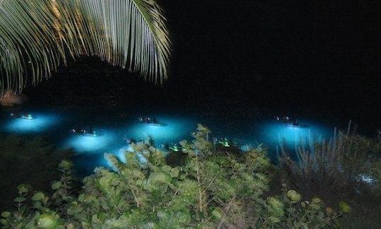 Kayak Glass Bottom in Koh Mak, Thailand