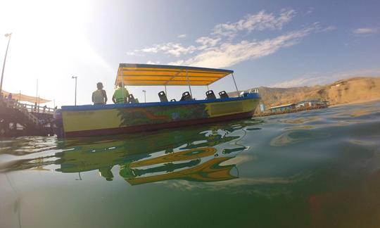 Viaje en barco con vida silvestre en Máncora, Perú