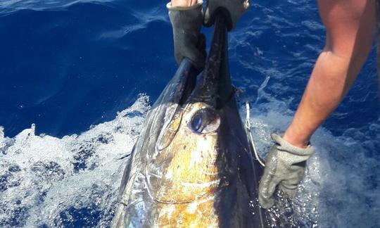 Disfrute de la pesca en Esiphahleni, Sudáfrica, en una cabina King Cat Cuddy de 22 pies