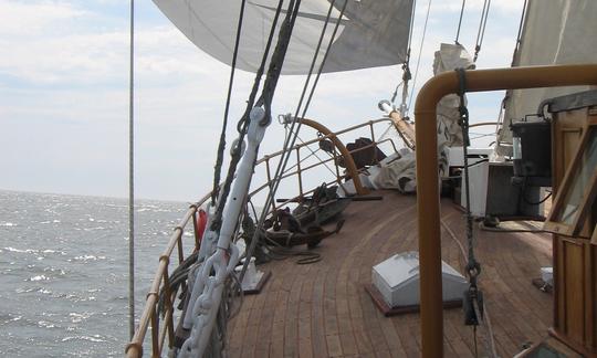 Navio alto para alugar em Bahia, Brasil