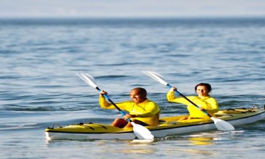 Alquiler de kayaks en Plettenberg Bay