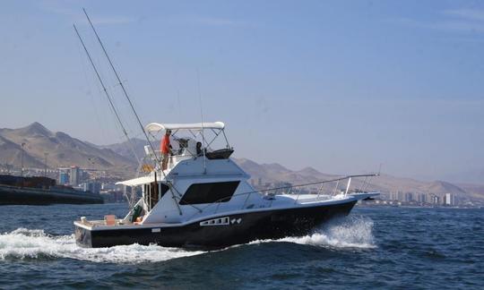 Enjoy Fishing in Antofagasta Bay, Chile on 36' Sport Fisherman