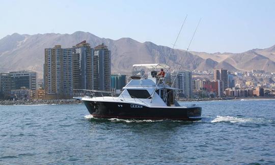 Enjoy Fishing in Antofagasta Bay, Chile on 36' Sport Fisherman