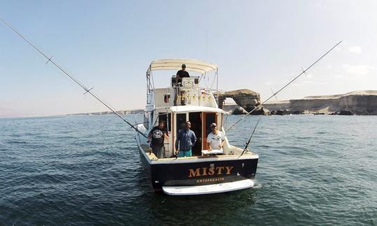 Enjoy Fishing in Antofagasta Bay, Chile on 36' Sport Fisherman