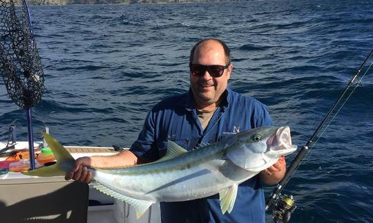 Aproveite a pesca no barco “Albacora” de 30 pés em Whangaroa, Nova Zelândia