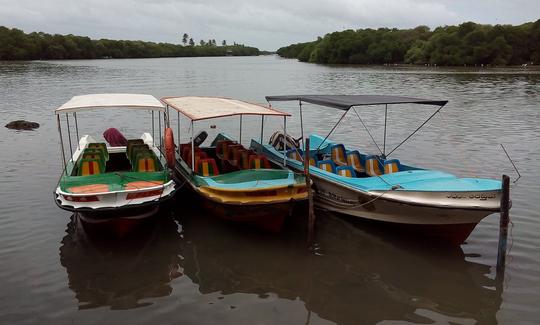 Excursion en bateau privé dans la province du Nord, au Sri Lanka