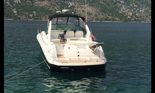 Sea Ray Sundancer 375 para alugar em Kotor, Montenegro