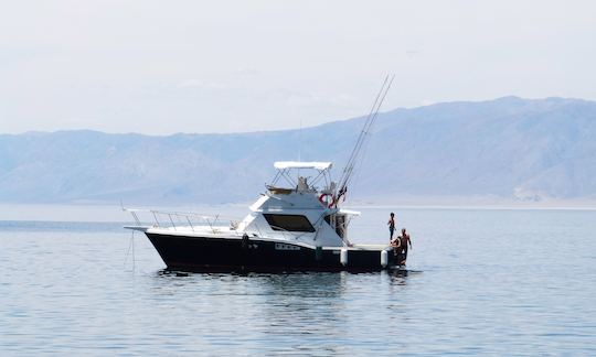 Alugue o iate Chris-Craft Commander 360 de 39 pés em Antofagasta