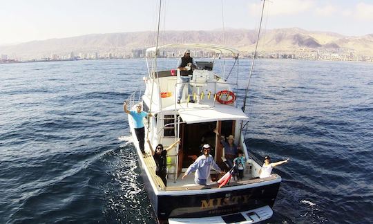 Alugue o iate Chris-Craft Commander 360 de 39 pés em Antofagasta