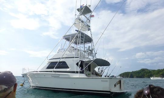 Profitez de la pêche à Sardinal de Carrillo, au Costa Rica, sur le 37' Bertram Sport Fisherman