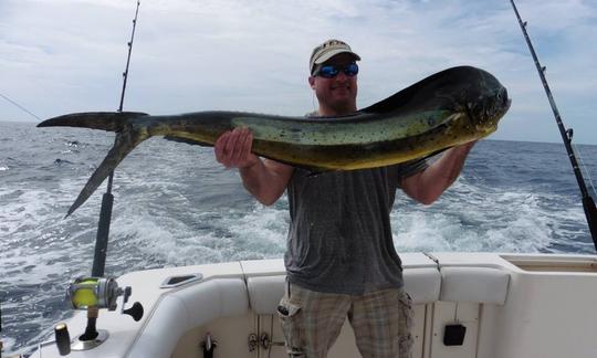 Profitez de la pêche à Sardinal de Carrillo, au Costa Rica, sur le 37' Bertram Sport Fisherman