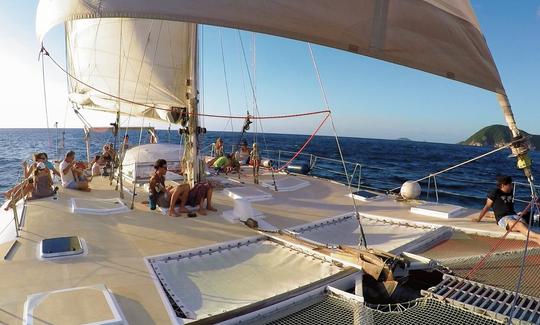 Passeio de um dia e tartarugas marinhas em um catamarã à vela de Deshaies