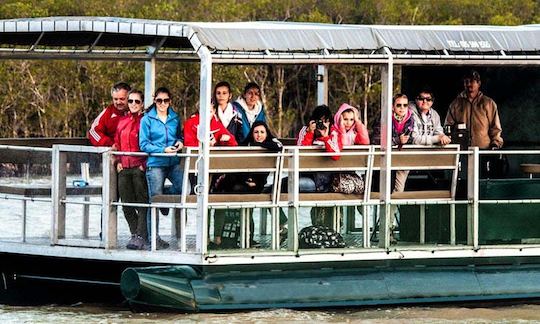 Charter a Pontoon Boat in Saint Lucia Estuary, KwaZulu-Natal