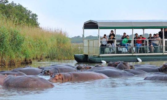 Charter a Pontoon Boat in Saint Lucia Estuary, KwaZulu-Natal