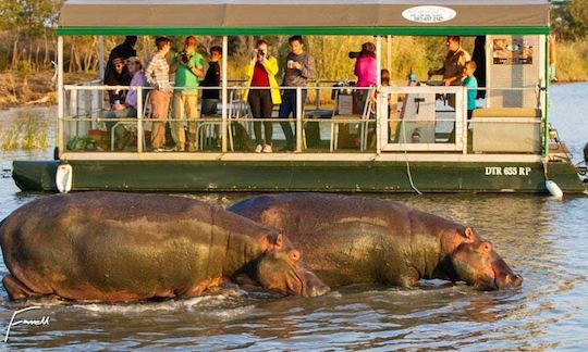 Charter a Pontoon Boat in Saint Lucia Estuary, KwaZulu-Natal