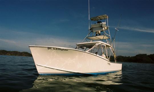 31' King Fisher Sport Fisherman Charter in Provincia de Guanacaste, Costa Rica