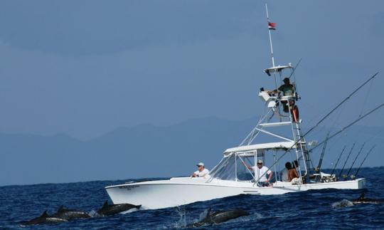 31' King Fisher Sport Fisherman Charter in Provincia de Guanacaste, Costa Rica