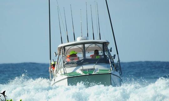 Profitez de la pêche à Inhambane, au Mozambique, sur un catamaran à moteur King Cat de 25 pieds