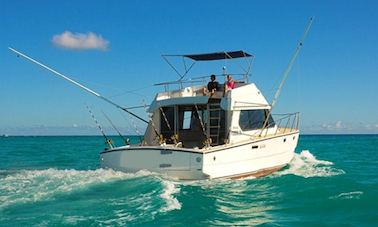 Enjoy Fishing in Grand Baie, Mauritius on Sport Fisherman