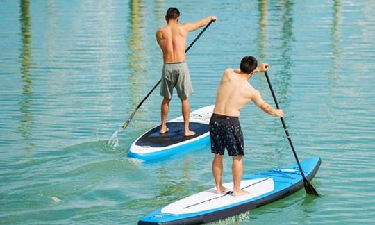 Aulas de stand up paddleboard em Auckland