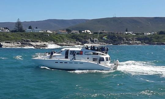 Observação de baleias em barco em Hermanus, Cabo Ocidental, África do Sul (catamarã motorizado de 70 lugares)