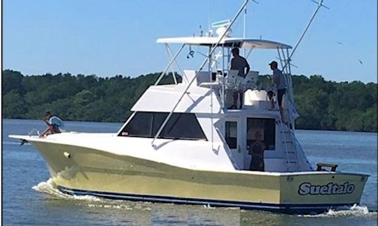 Enjoy Fishing in Rivas, Costa Rica on 41' Viking Sport Fisherman