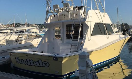 Enjoy Fishing in Rivas, Costa Rica on 41' Viking Sport Fisherman