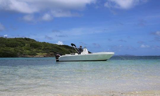 Excursion en bateau passionnante pour 7 personnes à Le François, en Martinique !