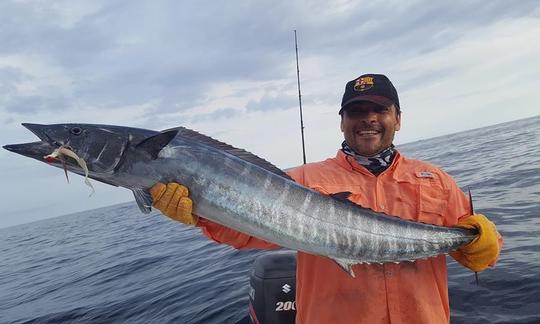 Carta de pesca em Nosara, Costa Rica, no console central de 27 pés