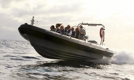 Louez un bateau gonflable rigide à Calheta, au Portugal