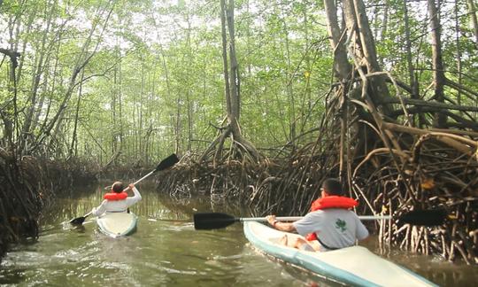 Profitez du kayak dans la province de Puntarenas, au Costa Rica