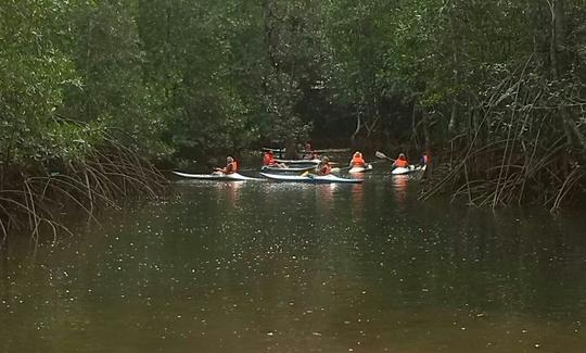 Profitez du kayak dans la province de Puntarenas, au Costa Rica