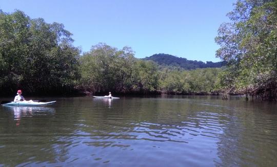 Profitez du kayak dans la province de Puntarenas, au Costa Rica