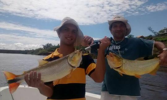 Aproveite a pesca no Paraná, Argentina, no console central