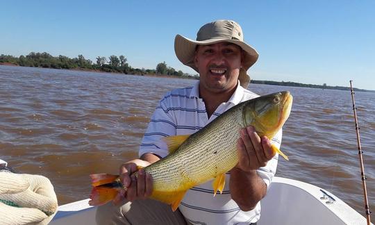 Aproveite a pesca no Paraná, Argentina, no console central