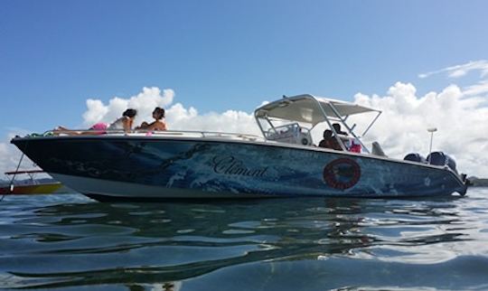 Charter a Center Console in La Trinité, Martinique