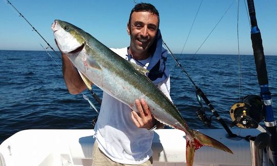 Profitez de la pêche à Punta del Este, en Uruguay, sur la console centrale