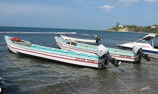 Alugue um barco super legal para 15 pessoas em Treasure Beach, Jamaica