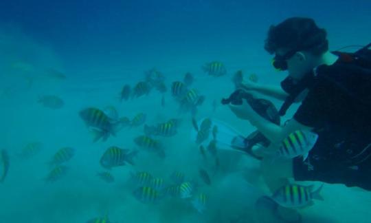 Profitez de la plongée à Montego Bay, en Jamaïque