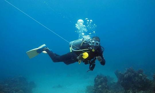 Profitez de la plongée à Montego Bay, en Jamaïque