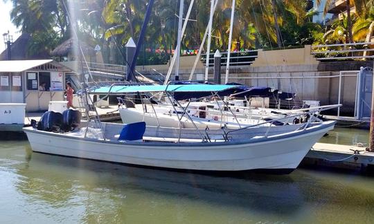 Nuevo Vallarta Fishing, Flipper III boat 27'