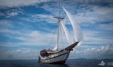 Wisesa Cruising Raja Ampat (Wisesa Liveaboard) Snorkeling & Diving