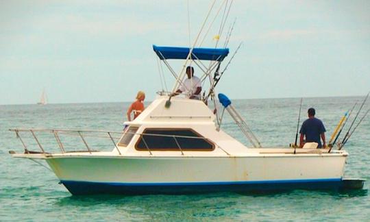 Desfrute da pesca em San José del Cabo, México, na cabine fofa Lurs de 33 pés